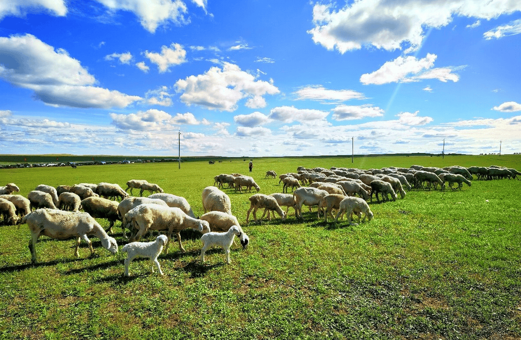 7cdc7e31349543c41e32838acddb2732.png 樂林丨讓每個人,樂享品質涮烤生活